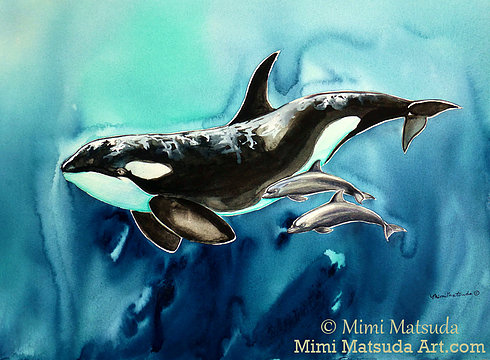 Orca and Dolphins-Mimi Matsuda