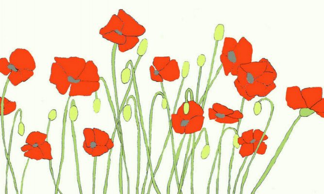 Poppies - Annie Bailey